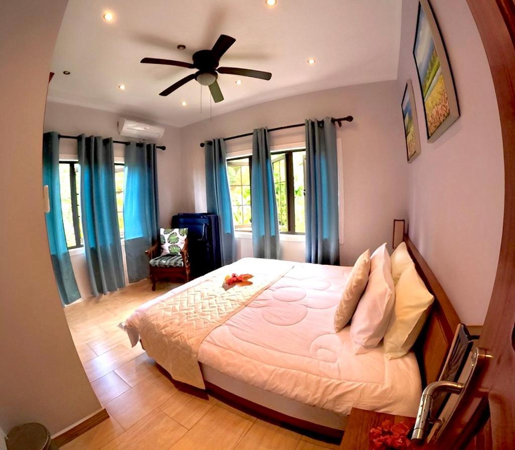 Belle Montagne Holiday Apartments Grand Anse  Eksteriør billede