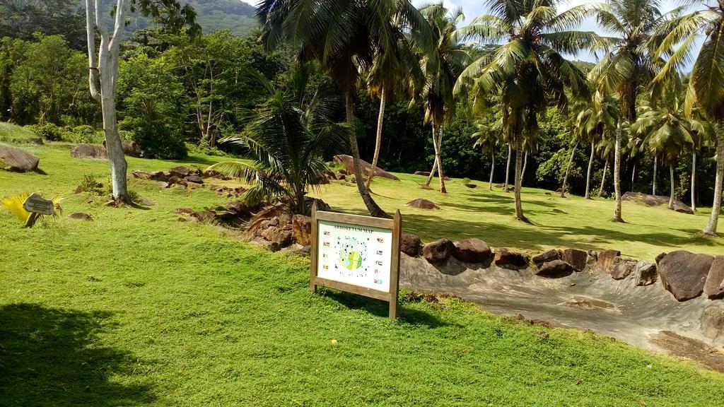 Belle Montagne Holiday Apartments Grand Anse  Eksteriør billede