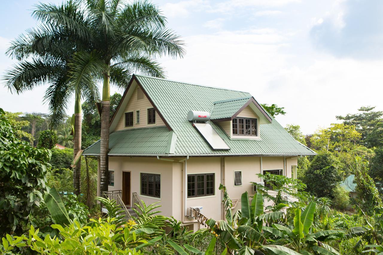 Belle Montagne Holiday Apartments Grand Anse  Eksteriør billede