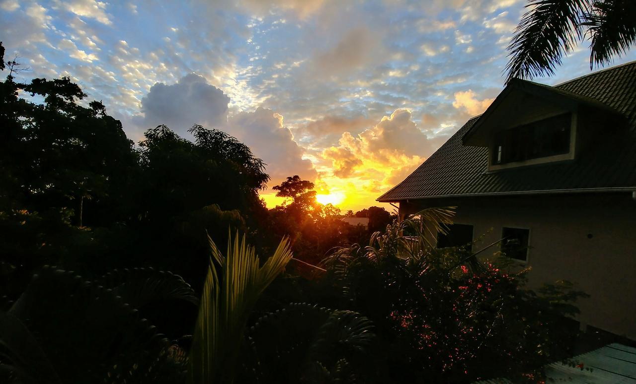 Belle Montagne Holiday Apartments Grand Anse  Eksteriør billede