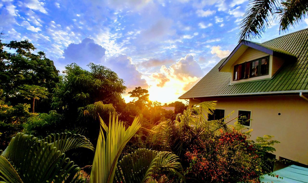 Belle Montagne Holiday Apartments Grand Anse  Eksteriør billede