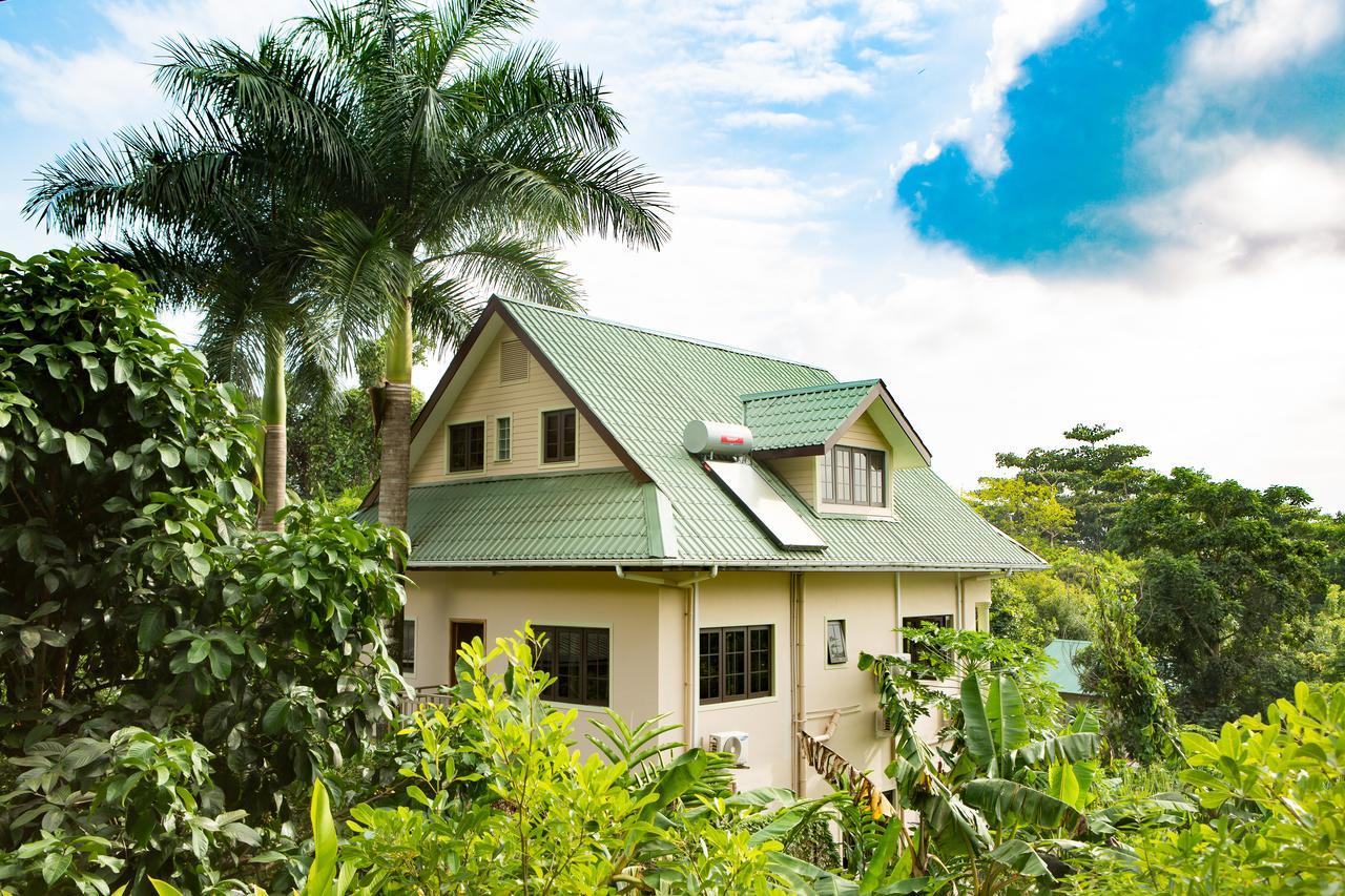 Belle Montagne Holiday Apartments Grand Anse  Eksteriør billede