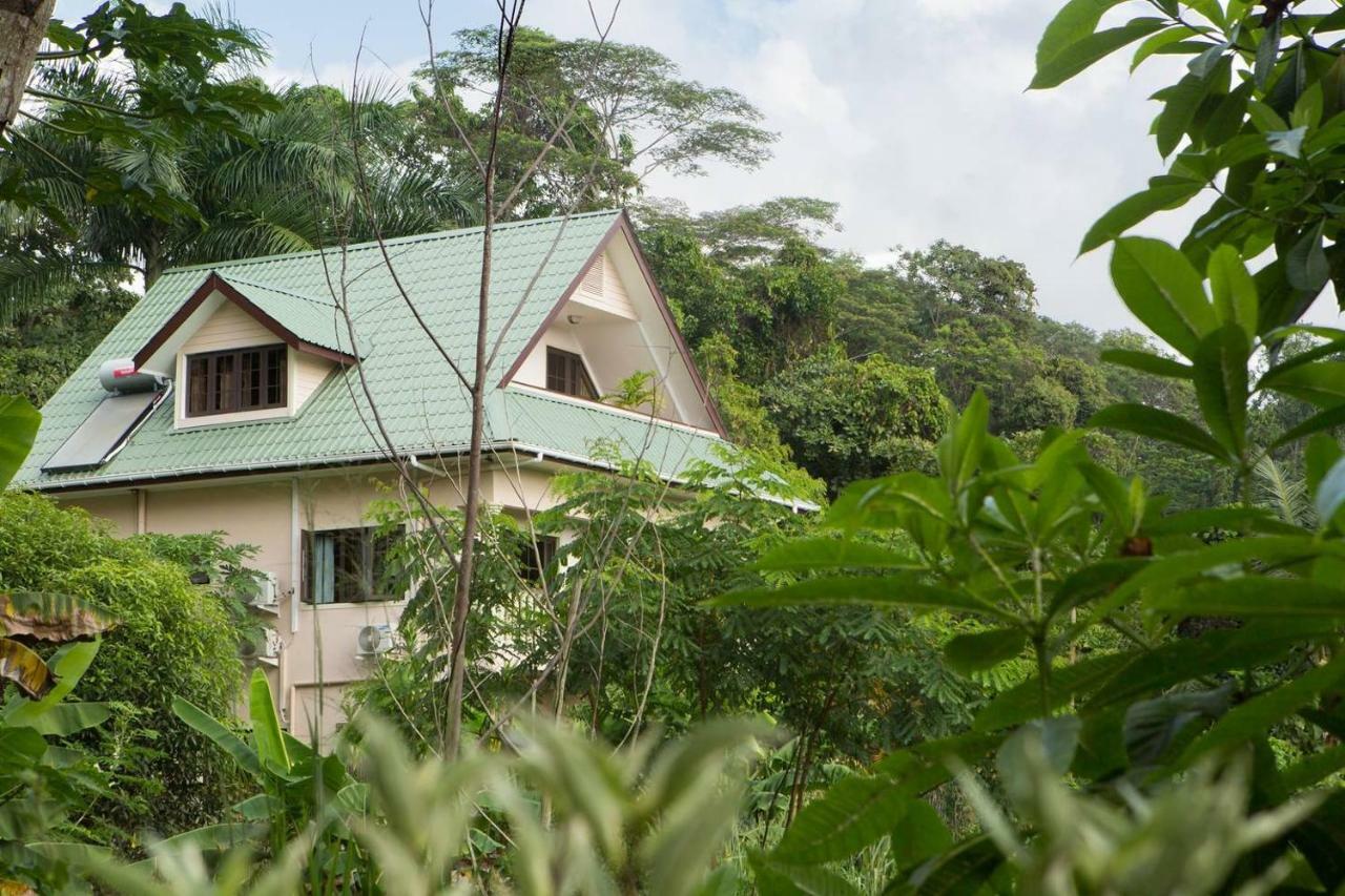 Belle Montagne Holiday Apartments Grand Anse  Eksteriør billede